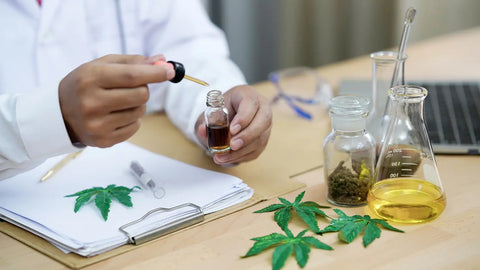 Krankheiten vorbeugen mit CBD