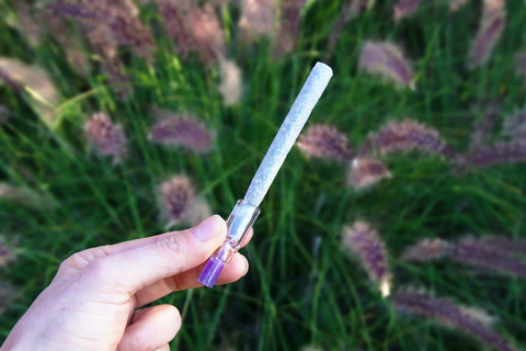 Unterschied zwischen Joint mit Papp- (Papier-) Filter und Glasfilter