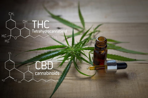 CBD und THC - Was sind die Unterschiede?