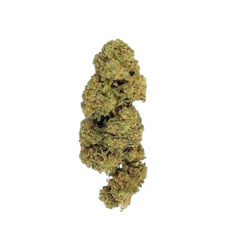 GDH CBD Blüten Biscotti