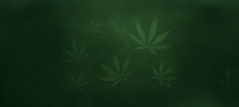 Wir fügen jeden Tag neue Bongs, Grinder, Papers und mehr in unseren Cannabis-Shop ein. Schau dir jetzt die neuesten Produkte an – vielleicht ist dein Favorit schon dabei!