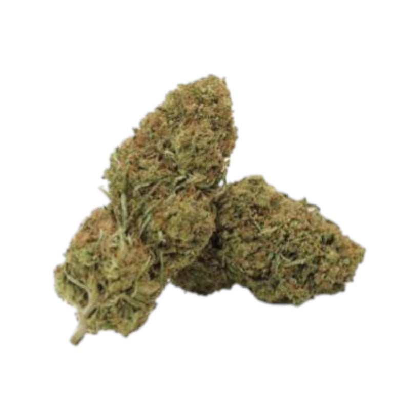GDH CBD Blüten Dom Perignon