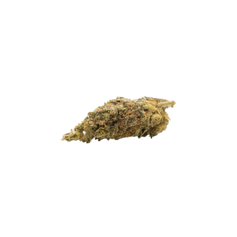 GDH 10 OH HHC Blüten White Bear Widdow 40%