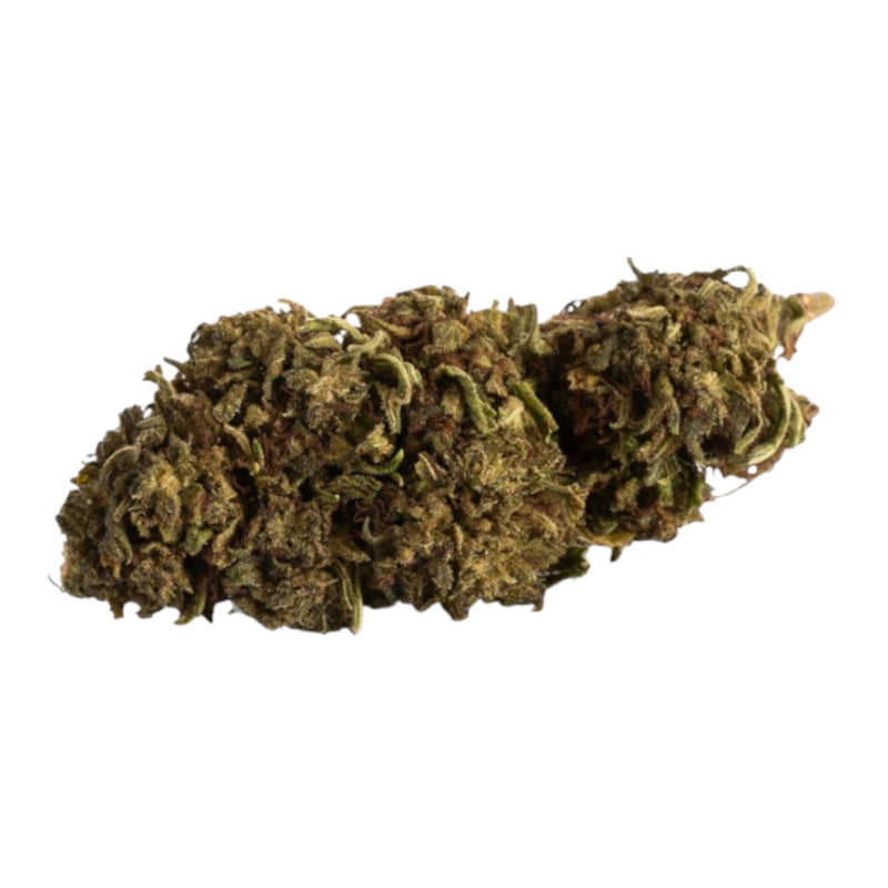 GDH 10 OH HHC Blüten Cookie Gelato 40%