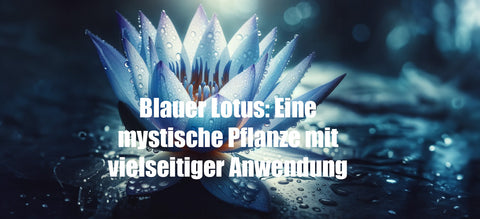 Blauer Lotus: Eine mystische Pflanze mit vielseitiger Anwendung