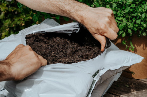 BioBizz Erde & Dünger – Überblick, Anwendung & Vorteile