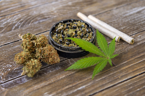Unterschied zwischen Indica und Sativa
