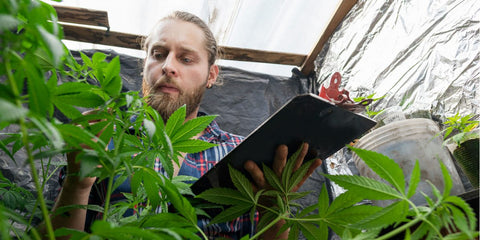 Medizinische Anwendungen von CBG