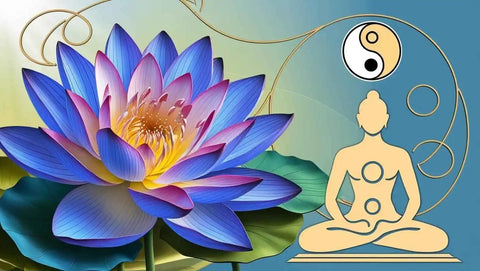Blauer Lotus Wirkung – Entdecke die faszinierende Welt dieser Pflanze