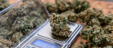 Warum ist der Verkauf von THC in Deutschland verboten?