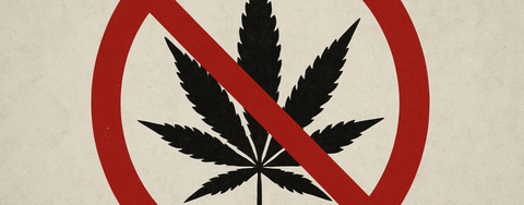 Ablehnung der Cannabis-Modellprojekte in Frankfurt und Hannover