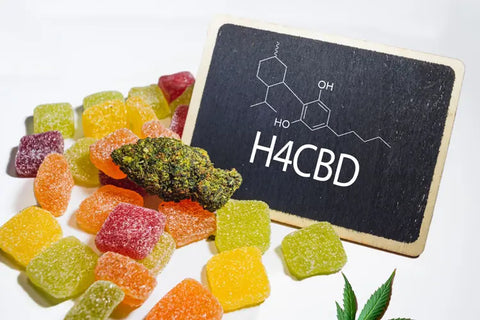 H4-CBD: Der große Bruder von CBD?