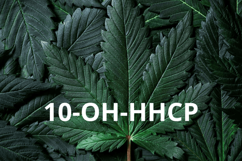 10-OH-HHCP Dosierung