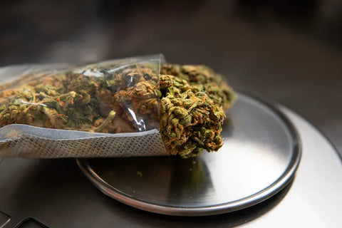 Medizinische Anwendungen von Nano Delta 9