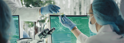 Durchbruch in der Schmerztherapie: Deutsches Unternehmen entwickelt erstes vollpflanzliches Cannabis-Medikament