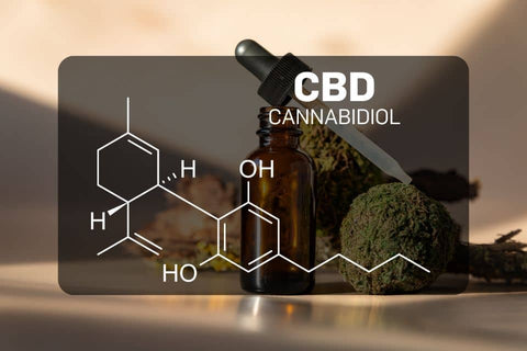 CBD gegen Übelkeit