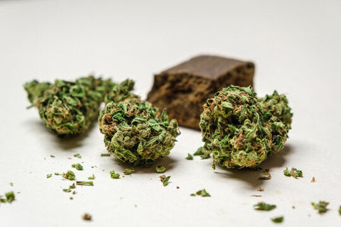 Unterschied zwischen CBD-Gras und CBD-Hasch