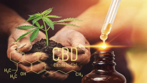 CBD für junge Eltern nach der Schwangerschaft