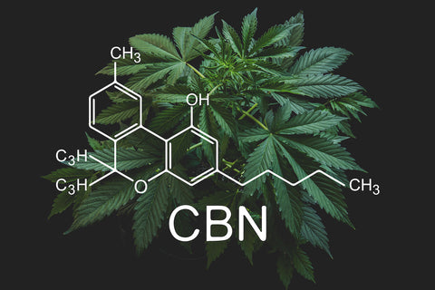 Cannabinol – Was ist CBN?