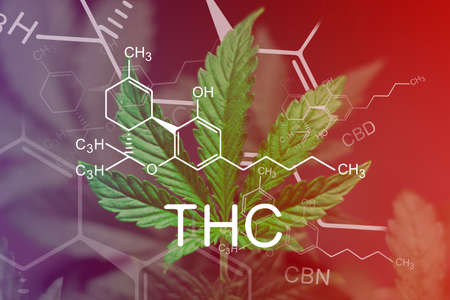 Was ist der Unterschied zwischen THC und DNT-9?