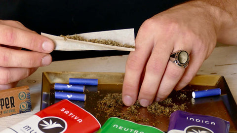 Tabakersatz – Was sind die Alternativen zu Tabak und warum gewinnen sie an Bedeutung?