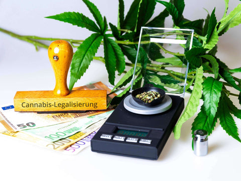 Cannabis-Legalisierung: Wie legal sind Anbau, Besitz und Konsum?