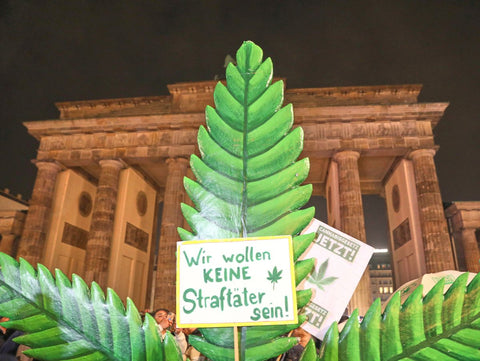 Bundesländer rebellieren gegen das CanG: Forderungen nach Nachbesserung und Aufhebung