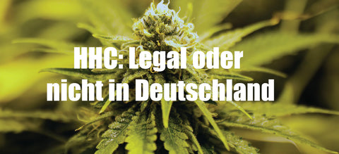HHC: Legal oder nicht in Deutschland