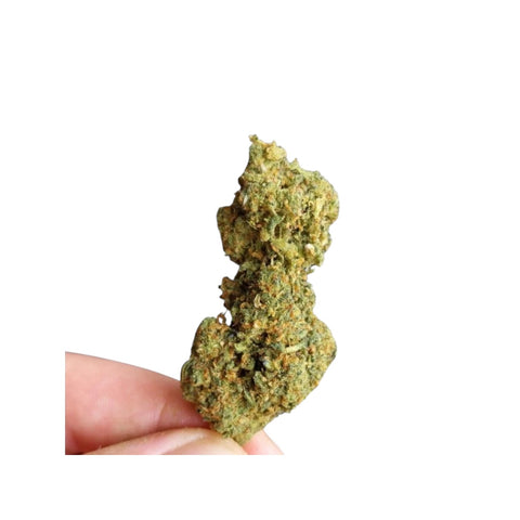 GDH 10 OH HHC Blüten Cannatonic 30%