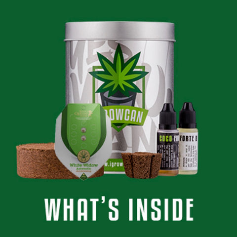 iGrowCan Cannabis Grow Kit Automatic