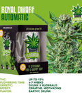 igrowcan-cannabis-grow-kit-automatic-royal-dwarf