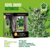 iGrowCan Cannabis Grow Kit Automatic Royal Dwarf