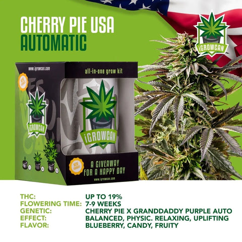 igrowcan-cannabis-grow-kit-automatic-cherry-pie-usa