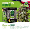 iGrowCan Cannabis Grow Kit Automatic Cherry Pie USA