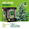 iGrowCan Cannabis Grow Kit Automatic Royal Critical