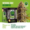 iGrowCan Cannabis Grow Kit Automatic Wedding Cake