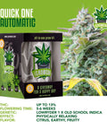 igrowcan-cannabis-grow-kit-automatic-quick-one