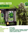 igrowcan-cannabis-grow-kit-automatic-apple-fritter