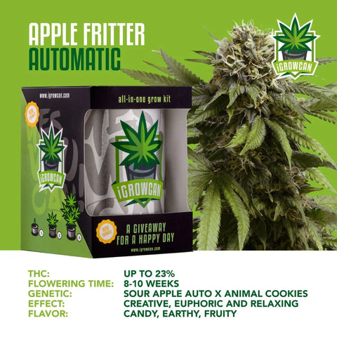 igrowcan-cannabis-grow-kit-automatic-apple-fritter