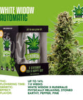 igrowcan-cannabis-grow-kit-automatic-white-widow