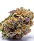 seeds-genetics-cali-cannabis-samen-3-stk.-zkittlez-feminized