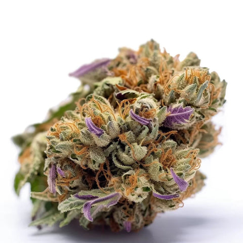 seeds-genetics-cali-cannabis-samen-3-stk.-zkittlez-feminized