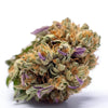 Seeds Genetics Cali Cannabis Samen 3 Stk. Zkittlez Feminized