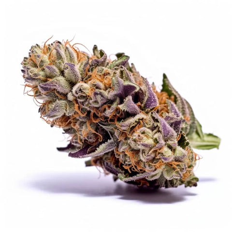 seeds-genetics-cali-cannabis-samen-3-stk.-granddaddy-purple-feminized