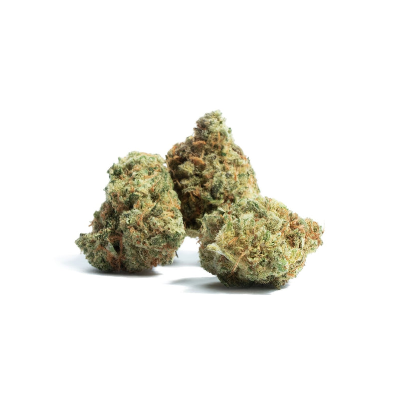 GDH CBD Blüten Amnesia Haze