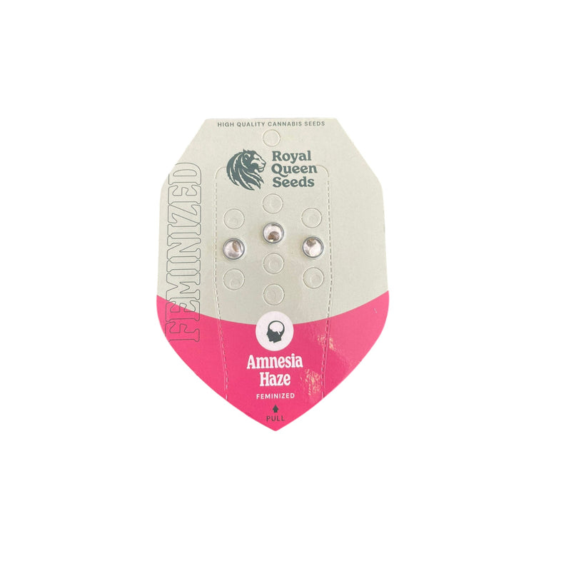 Royal Queen Seeds Amnesia Haze - Image 2