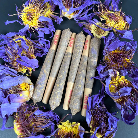 GDH Blauer Lotus Prerolled Joint