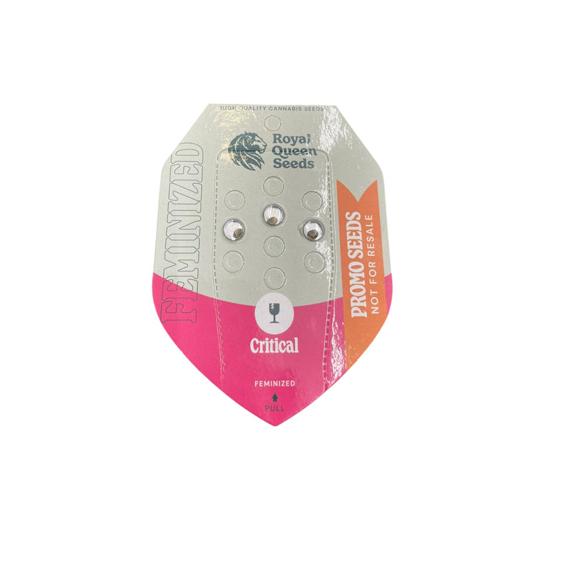 Royal Queen Seeds Critical - Image 2