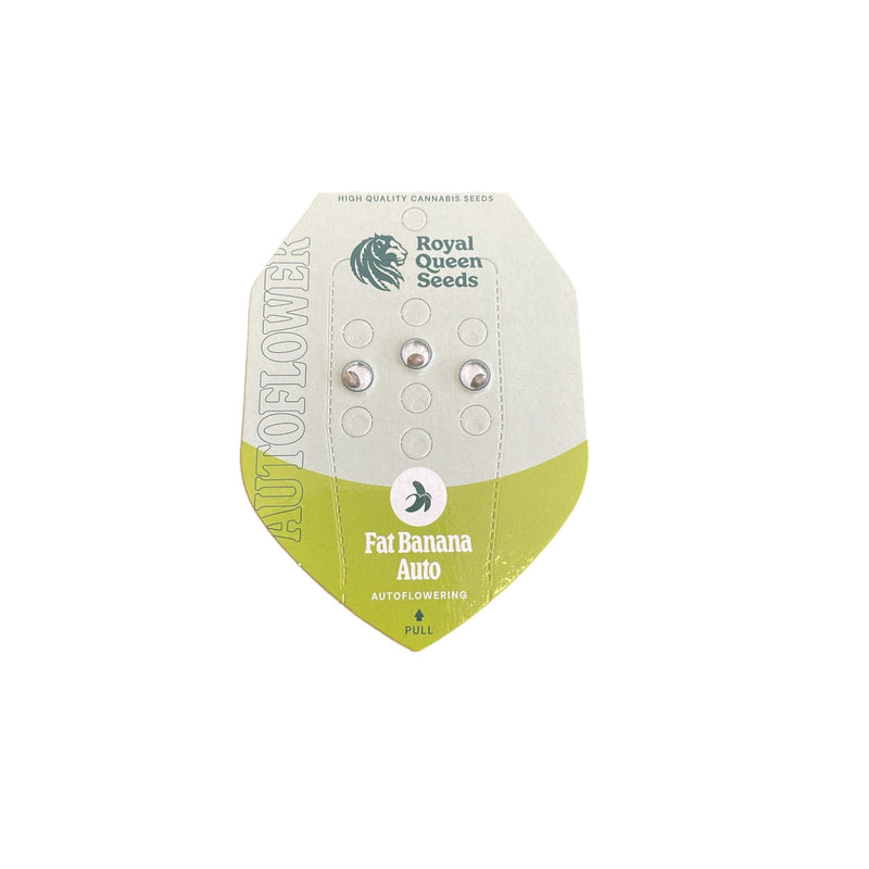 Royal Queen Seeds Fat Banana Auto - Image 2