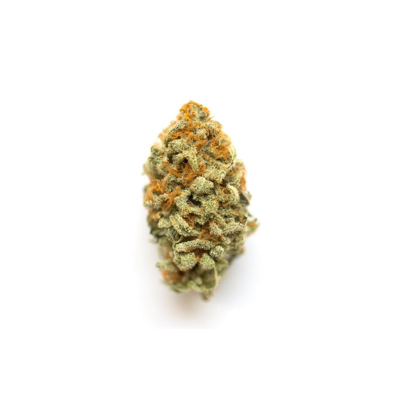 GDH CBD Blüten F55 GMO Cookie